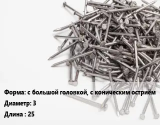 Гвоздь с большой головкой, с коническим остриём 3х25 оцинкованный винтовой